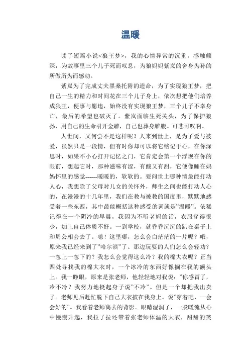 高中生优秀作文精选：温暖