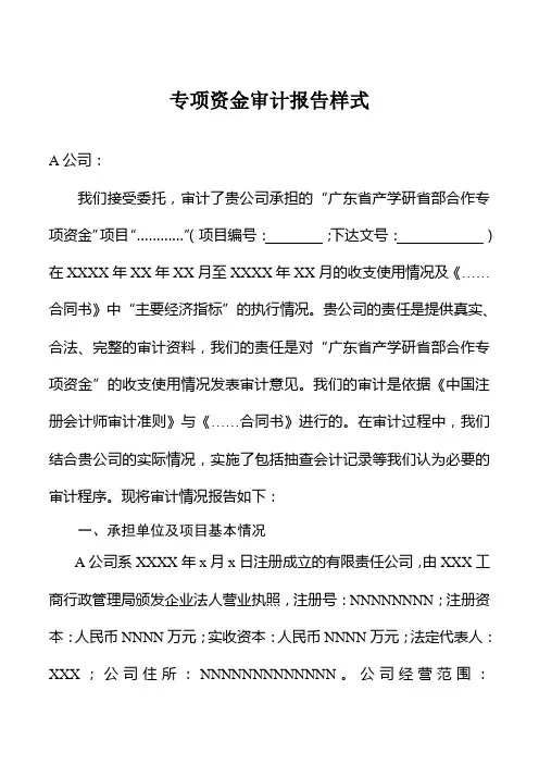 专项资金审计报告样式
