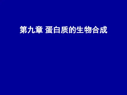 第9章 蛋白质的生物合成