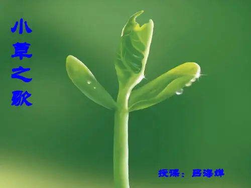 小草之歌 (s版语文四上)pptPPT课件