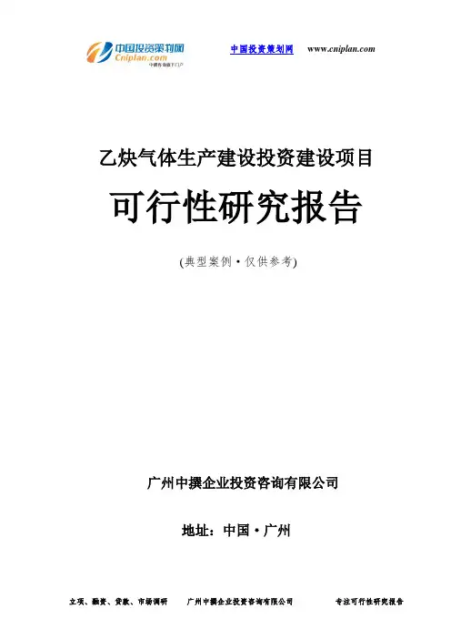 乙炔气体生产建设投资建设项目可行性研究报告-广州中撰咨询