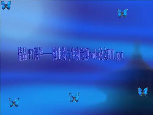 精品PPT课件----微生物与生物能源wode论文PPT.ppt
