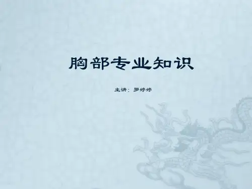 胸部专业知识培训课件