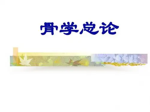 1骨学总论