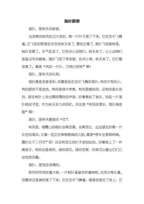 写景作文：落叶即景作文500字