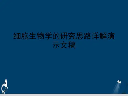 细胞生物学的研究思路详解演示文稿