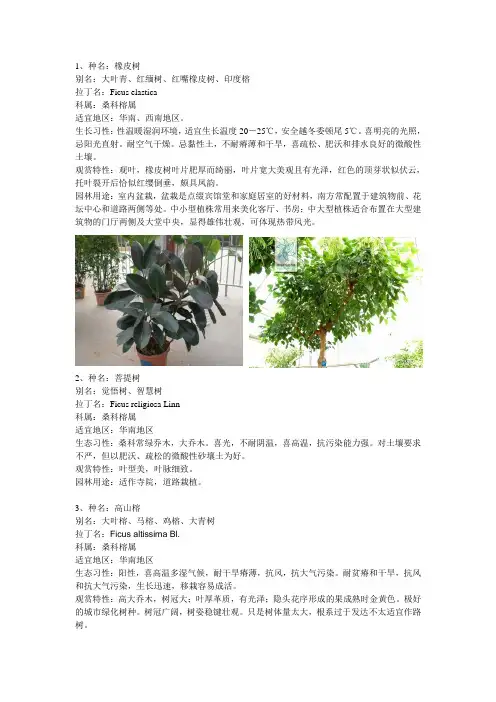 常见园林植物(广东省)1