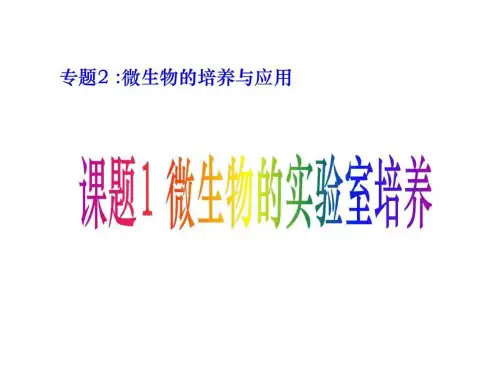 课题1微生物的实验室培养.ppt