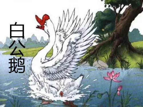 2017秋人教版语文四年级上册第14课《白公鹅》PPT课件