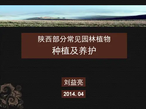 陕西常见园林植物种植及养护(精编篇)