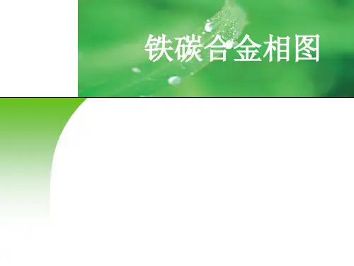 Fe-C相图解析
