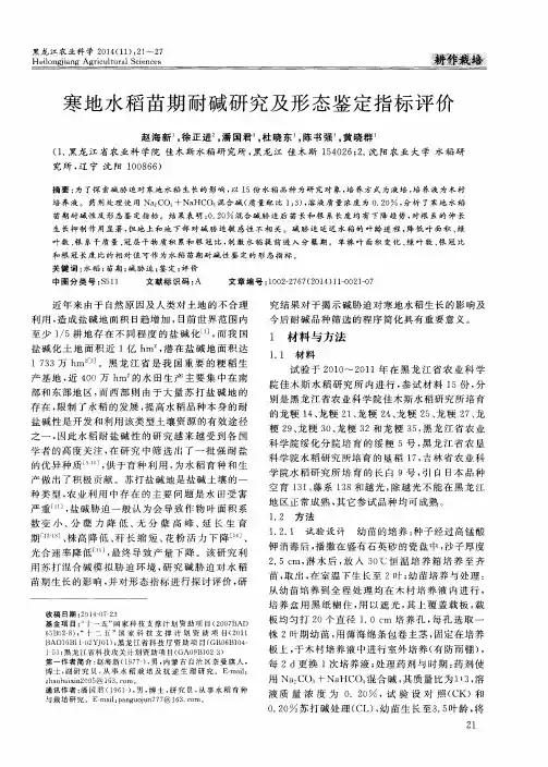 寒地水稻苗期耐碱研究及形态鉴定指标评价
