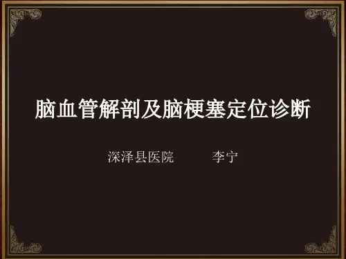 脑血管解剖及脑梗塞定位诊断