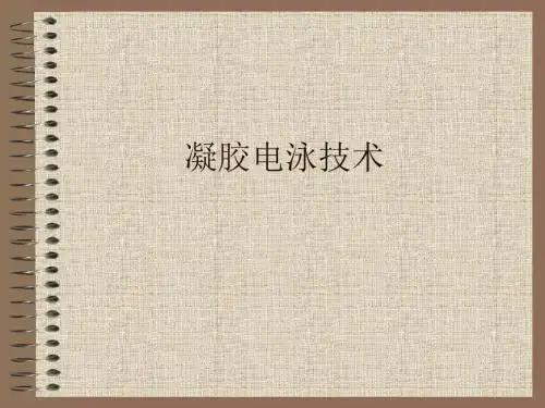 5凝胶电泳技术