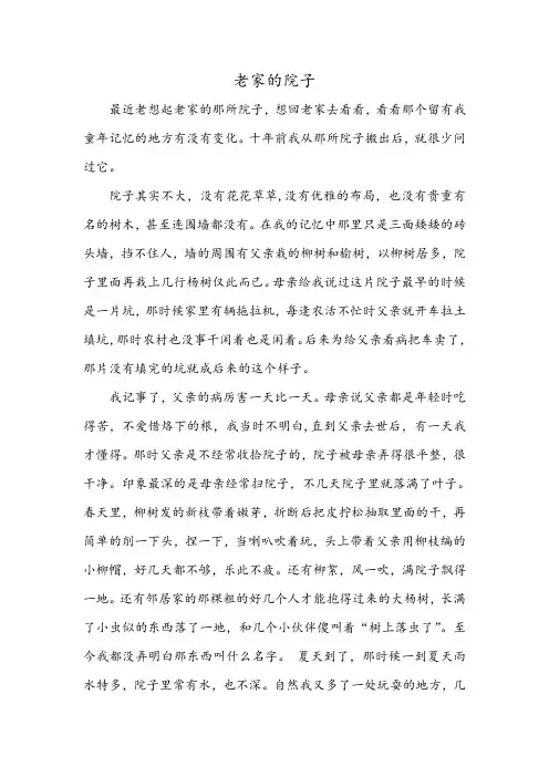 老家的院子