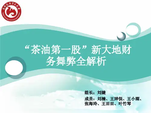 审计案例PPT新大地1