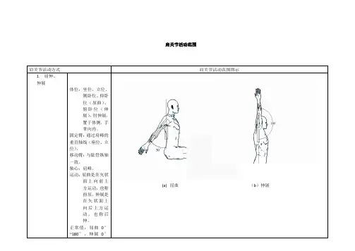 人体工程学—肩关节活动范围