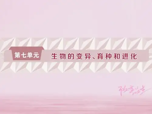 2019届高考生物一轮复习第七单元生物的变异、育种和进化第22讲基因突变和基因重组课件