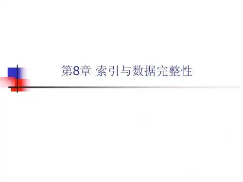 第8章 索引-完整性