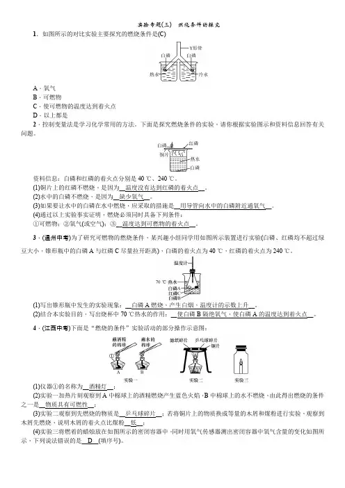 人教版九年级上册化学：第六单元   实验专题(三) 燃烧条件的探究