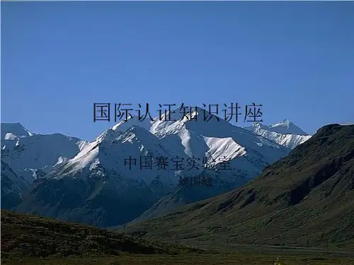 【精品课件教案PPT】 国际认证知识讲座