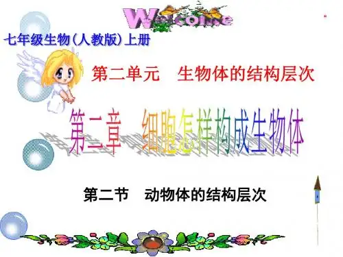 第二单元.第二章.第二节.动物体的结构层次