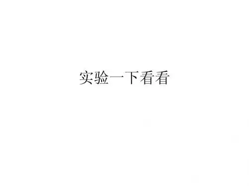 实验一下看看