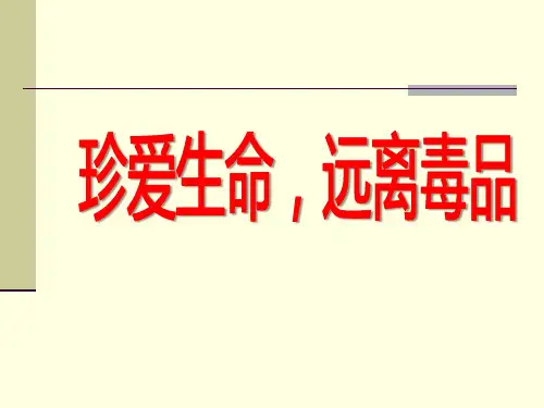 珍爱生命,远离毒品_PPT