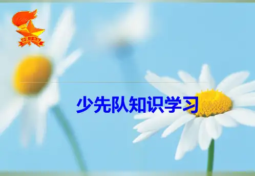 《少先队知识培训》PPT课件