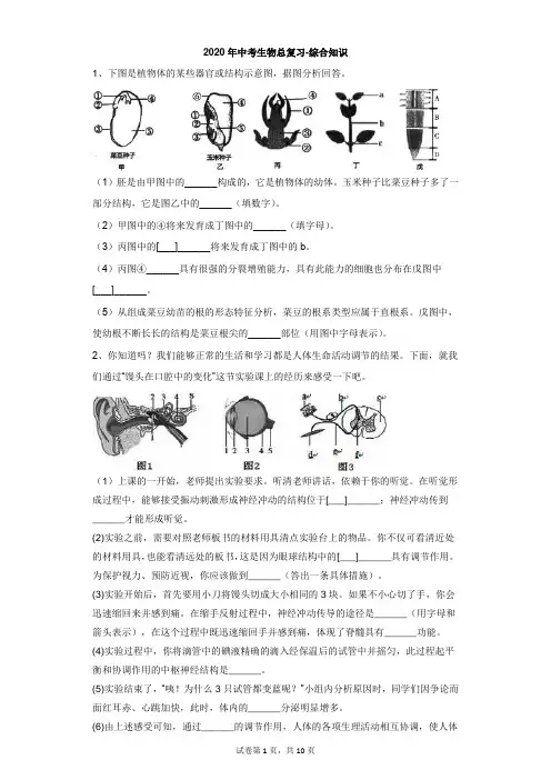 初中-生物-中考-2020年中考生物总复习-综合知识