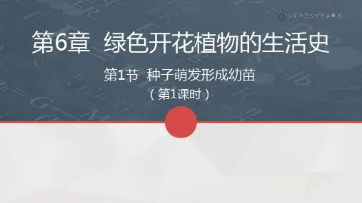 北师版生物七年级上册第6章第1节《种子萌发形成幼苗》课件(第1课时)