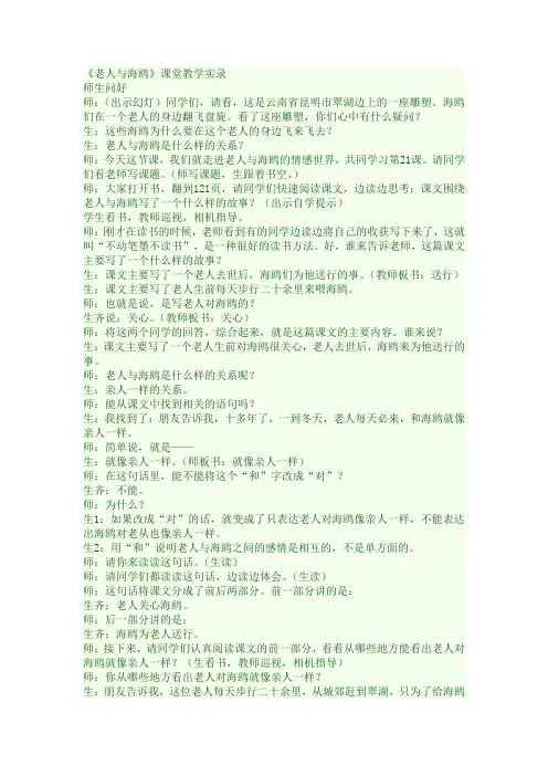 老人与海鸥课堂实录