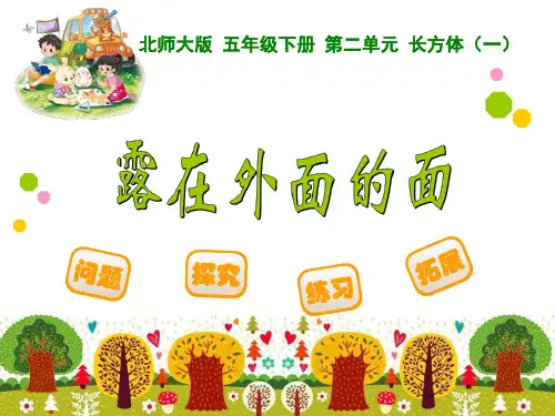 《露在外面的面》ppt课件(4篇)