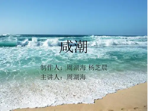 咸潮PPT