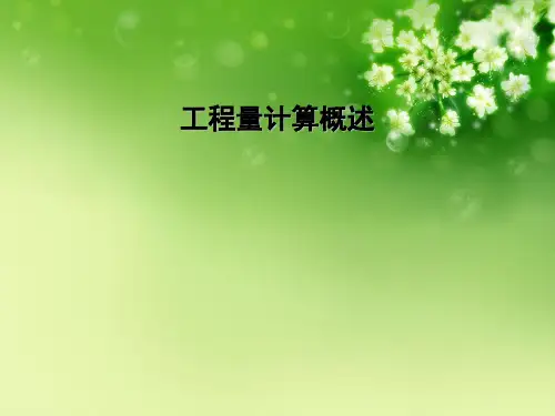 工程量计算概述优秀课件
