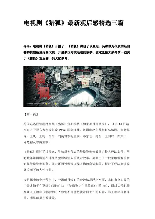 电视剧《猎狐》最新观后感精选三篇