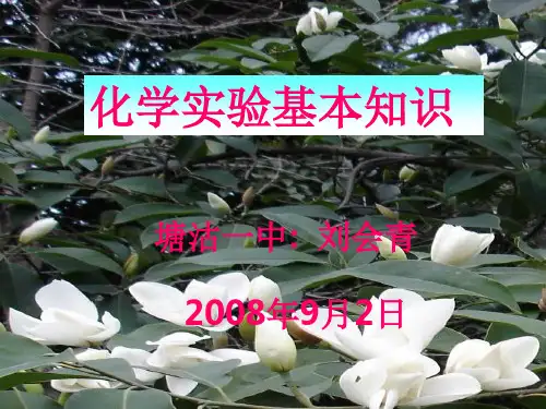 化学实验基本知识PPT