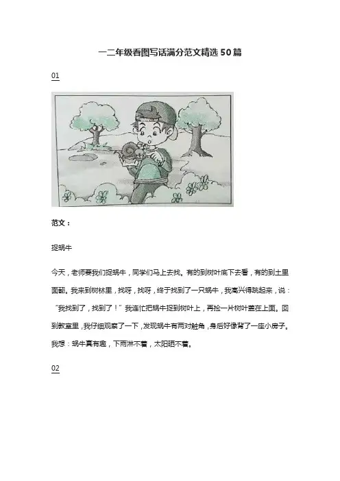 一二年级语文-看图写话满分范文精选50篇
