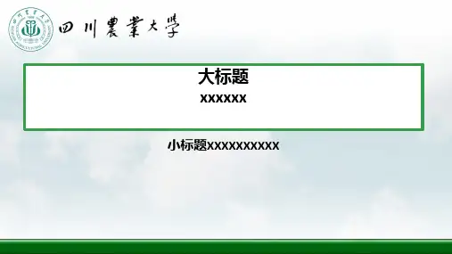 研究生文献汇报精美学术ppt模板