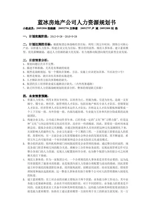 蓝冰房地产公司人力资源规划书