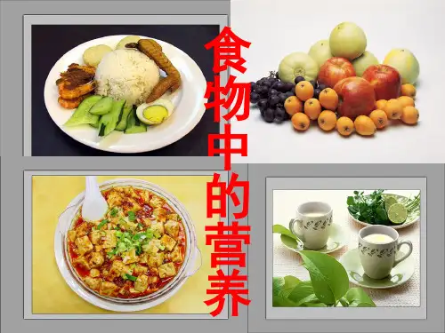教科版小学科学四年级下册食物中的营养课件_14