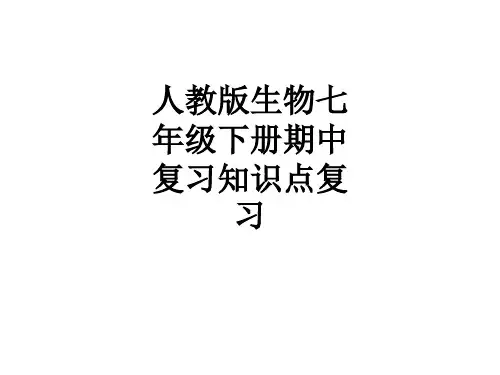 人教版生物七年级下册期中复习知识点复习ppt课件
