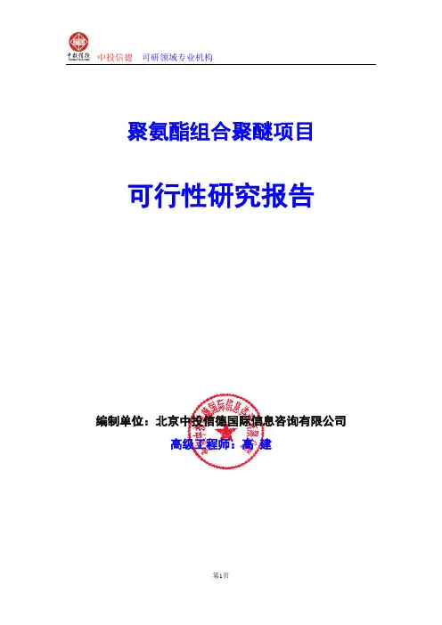聚氨酯组合聚醚项目可行性研究报告编制格式说明(模板型word)