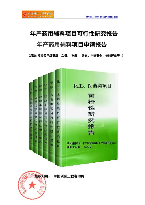 年产药用辅料项目可行性研究报告(案例分析)