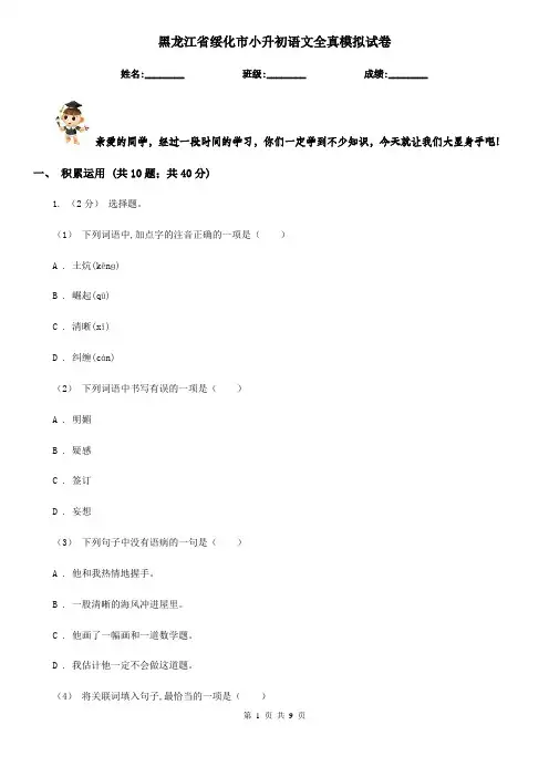 黑龙江省绥化市小升初语文全真模拟试卷