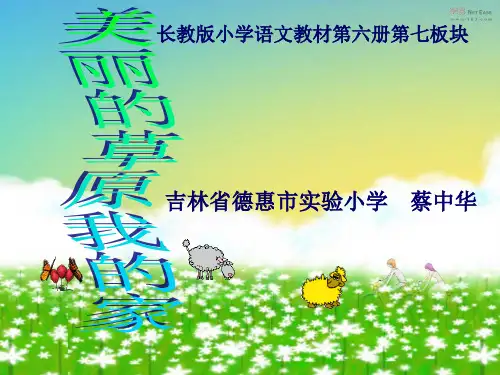 美丽的草原我的家PPT