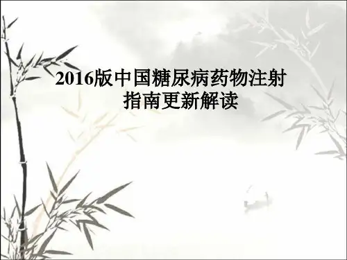 2016版中国糖尿病药物注射指南解读 PPT