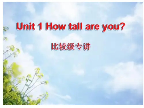 小学六下英语比较级