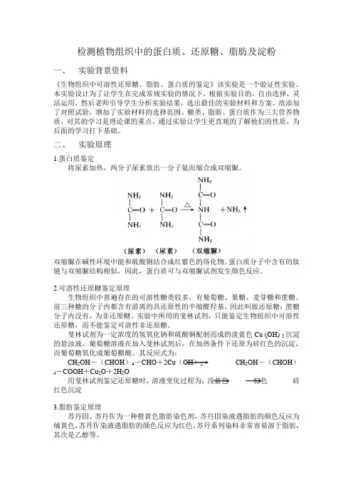 蛋白质、还原糖、脂肪和淀粉的鉴定