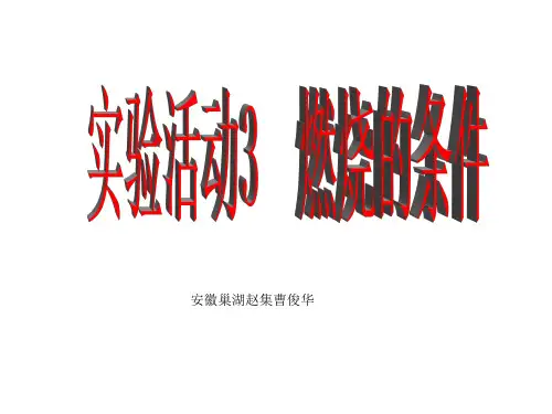 人教版九年级化学第七单元实验活动3